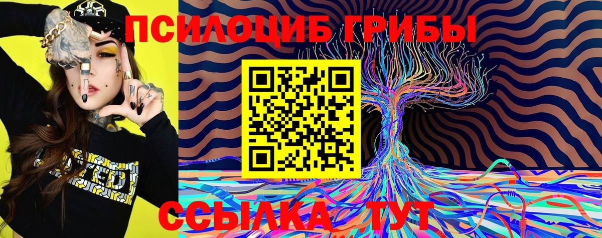 Кыштым  Галлюциногенные грибы ЛСД  Вход с VPN 