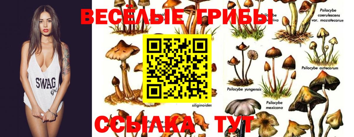 Галлюциногенные грибы Magic Shrooms Кыштым